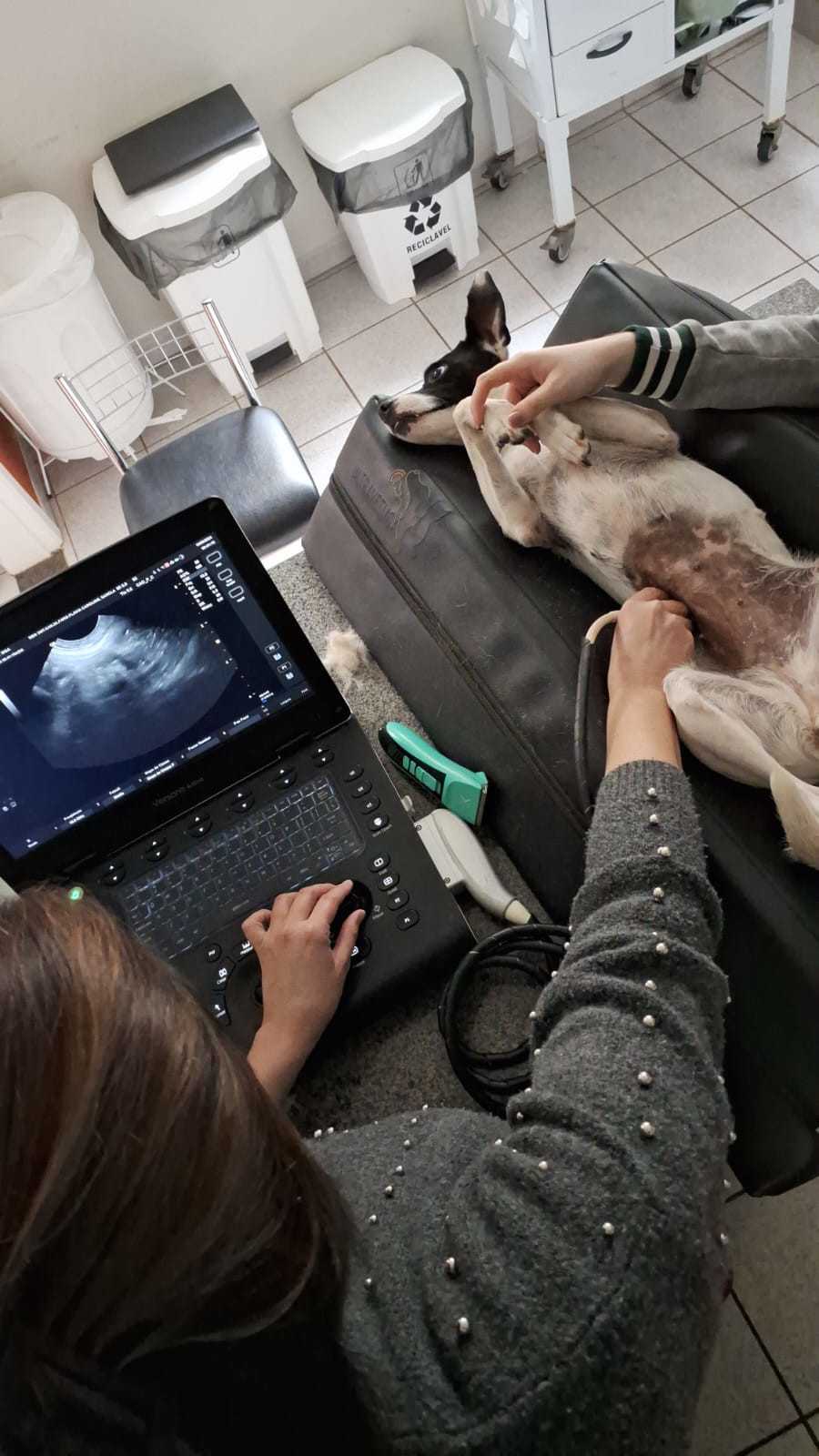 Ultrassom